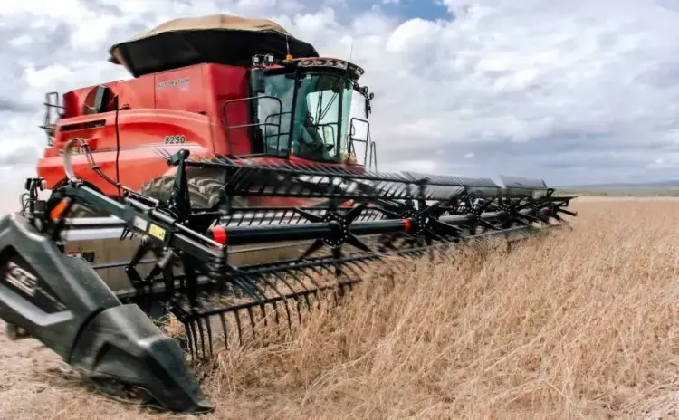 Setor agropecuário do Tocantins deve registrar o segundo maior crescimento do país em 2025