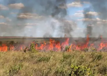 Suspensão das queimas controladas no Tocantins é prorrogada até 9 de novembro