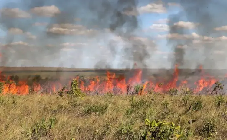 Suspensão das queimas controladas no Tocantins é prorrogada até 9 de novembro
