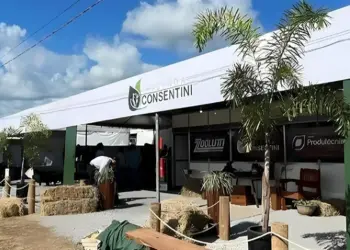 Juiz substitui administrador da recuperação judicial da Fazenda Consentini do empresário João Batista Consentini Filho