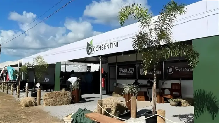 Juiz substitui administrador da recuperação judicial da Fazenda Consentini do empresário João Batista Consentini Filho