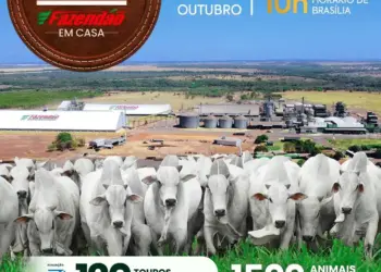 7º Leilão Nelore Fazendão será realizado pela primeira vez “em casa” e promete movimentar o mercado pecuário tocantinense