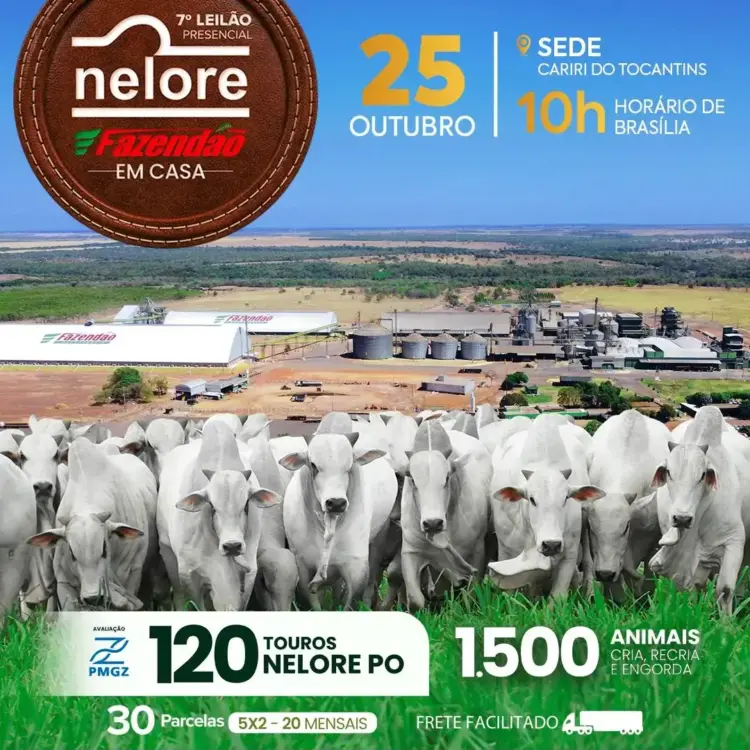 7º Leilão Nelore Fazendão será realizado pela primeira vez “em casa” e promete movimentar o mercado pecuário tocantinense