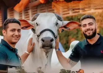 Dupla Henrique e Juliano arremata sete éguas por R$ 7 milhões em leilão realizado em Caruaru (PE)