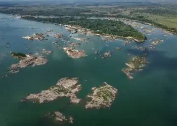 Governo estuda medidas para desburocratizar transporte de grãos no Tocantins com crescimento da soja