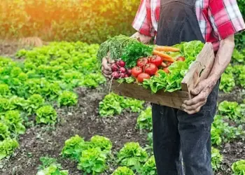 Produtores rurais ganham nova lista de produtos com bônus do PGPAF; veja quais são