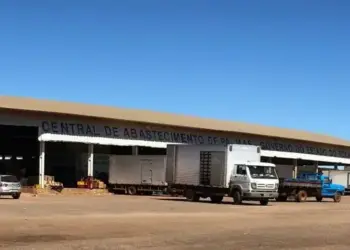 Ceasa Tocantins ganha Painel de Cotações para apoiar produtores e consumidores