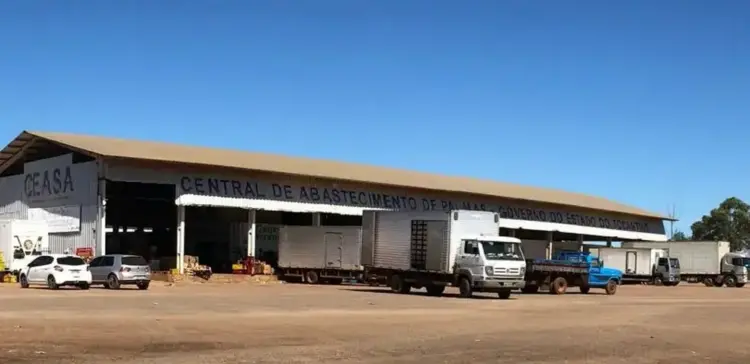 Ceasa Tocantins ganha Painel de Cotações para apoiar produtores e consumidores