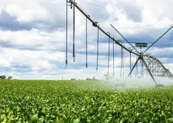 Clima em outubro: o que esperar para o agro?