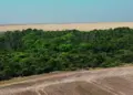 Fazenda de mais de 20 mil hectares aposta na economia circular como estratégia