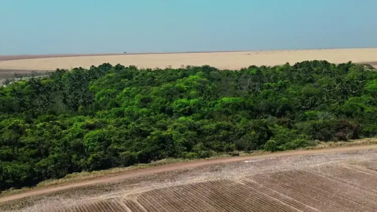 Fazenda de mais de 20 mil hectares aposta na economia circular como estratégia