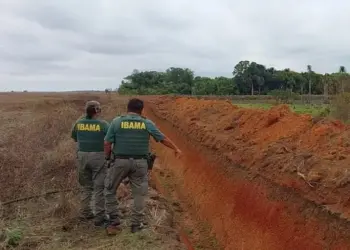 Tocantins é alvo de operação do Ibama contra desmatamento no Cerrado