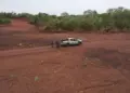 Proprietário rural de São Paulo é multado em R$ 500 mil por destruir área de reserva legal no Tocantins