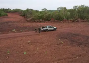 Proprietário rural de São Paulo é multado em R$ 500 mil por destruir área de reserva legal no Tocantins