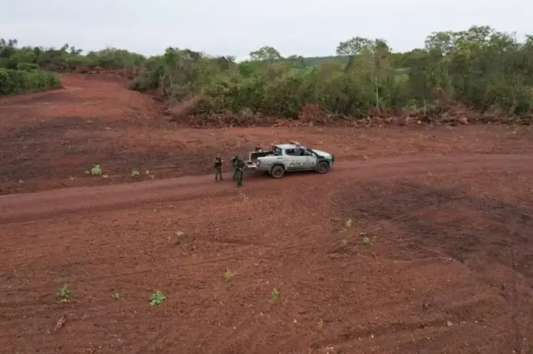 Proprietário rural de São Paulo é multado em R$ 500 mil por destruir área de reserva legal no Tocantins