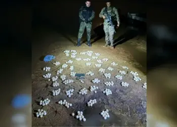 Mais de 500 ovos e tartarugas são resgatados durante fiscalização no Rio Araguaia