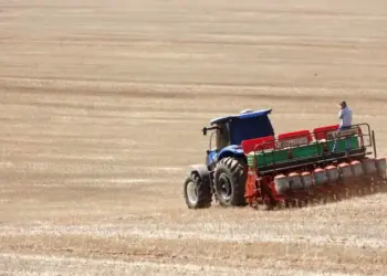 Plantio de soja avança e atinge 8,2% no Brasil; veja o ritmo em cada estado