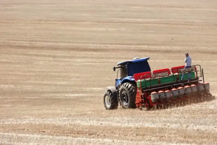 Plantio de soja avança e atinge 8,2% no Brasil; veja o ritmo em cada estado