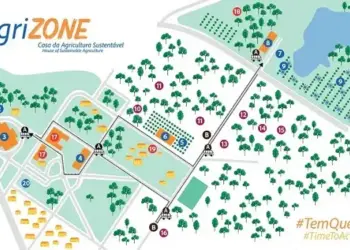 Embrapa divulga programação de aproximadamente 400 eventos durante a COP30