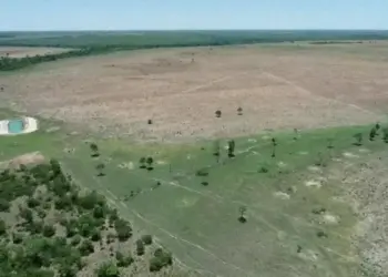 Multa de R$ 1,4 milhão é aplicada a fazendeiro do Tocantins por crime ambiental