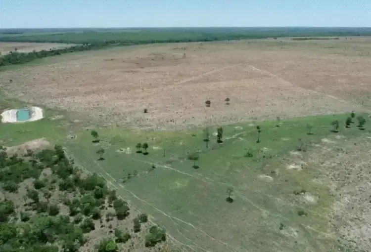Multa de R$ 1,4 milhão é aplicada a fazendeiro do Tocantins por crime ambiental