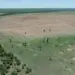 Multa de R$ 1,4 milhão é aplicada a fazendeiro do Tocantins por crime ambiental