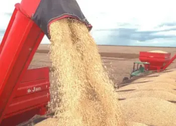 Caravana do Agro Exportador e novo plano fortalecem presença do Tocantins no mercado internacional