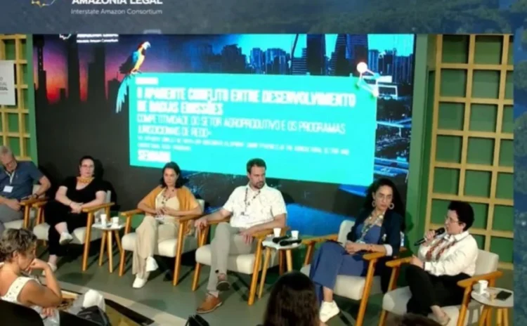 Interesse de grandes players cresce por créditos de carbono do Tocantins durante a COP 30