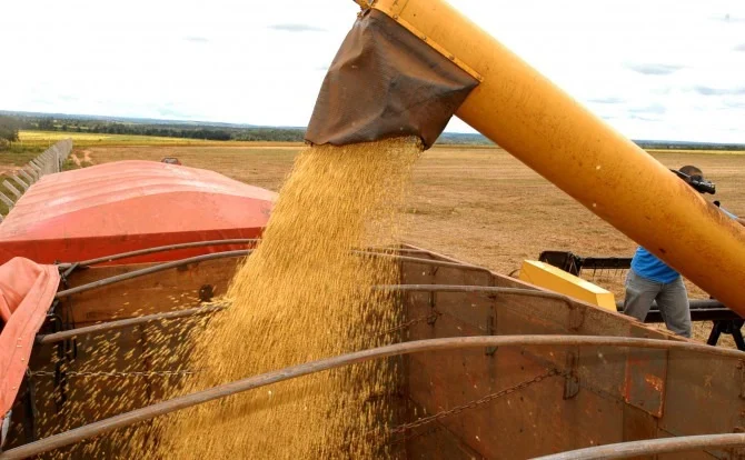 Agro e indústria elevam PIB do Tocantins, que alcança 2ª maior taxa média de crescimento do Brasil