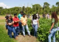 UniCatólica promove Dia de Campo com foco no setor agroprodutivo