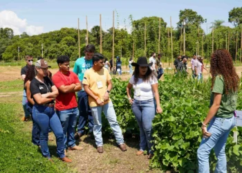 UniCatólica promove Dia de Campo com foco no setor agroprodutivo