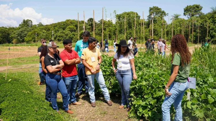 UniCatólica promove Dia de Campo com foco no setor agroprodutivo