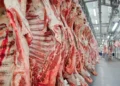 China adia investigação sobre importação de carne bovina e mantém setor em alerta