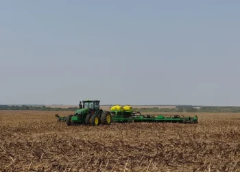 Safra 25/26: plantio da soja chega a 81% mesmo com chuvas irregulares, diz AgRural