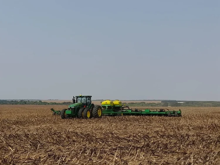 Safra 25/26: plantio da soja chega a 81% mesmo com chuvas irregulares, diz AgRural