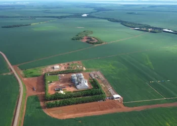 Aprosoja Tocantins realiza Abertura Nacional da Colheita da Soja 2026 em Porto Nacional