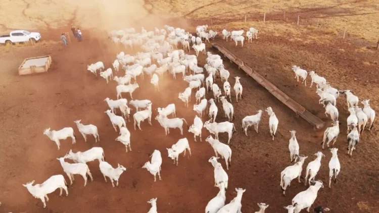 Sucessão familiar e novas práticas mudam realidade de familia