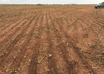 Uso sustentável de insumos e respeito às janelas de plantio garantem equilíbrio e produtividade nas lavouras tocantinenses