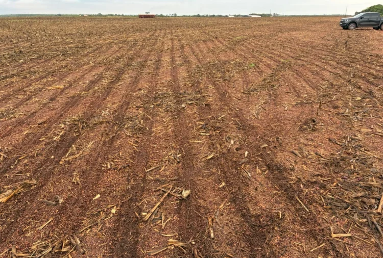Uso sustentável de insumos e respeito às janelas de plantio garantem equilíbrio e produtividade nas lavouras tocantinenses