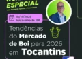 Safras & Mercado apresenta tendências do mercado do boi para 2026 com apoio da Novilho Precoce Tocantins