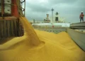 Brasil deve exportar até 4,3 milhões de toneladas de soja em novembro