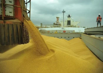 Brasil deve exportar até 4,3 milhões de toneladas de soja em novembro