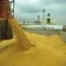 Brasil deve exportar até 4,3 milhões de toneladas de soja em novembro