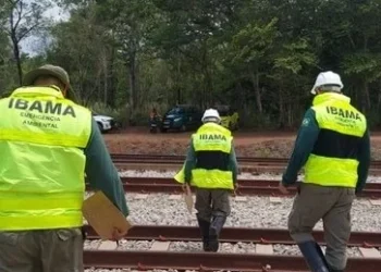 Ibama realiza vistoria em linha férrea no Tocantins, que conecta as principais malhas ferroviárias do país