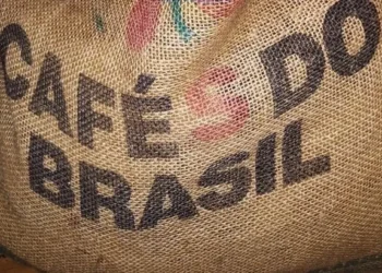 Setor cafeeiro pede superação de impasse com os EUA: “Passou da hora de virar a página”, afirma diretor do Cecafé