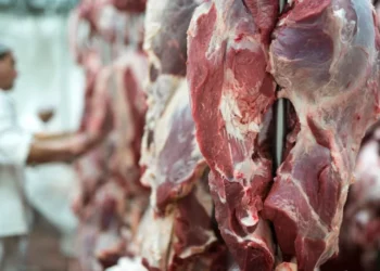 China não impôs restrições à carne bovina brasileira, afirma secretário do Mapa