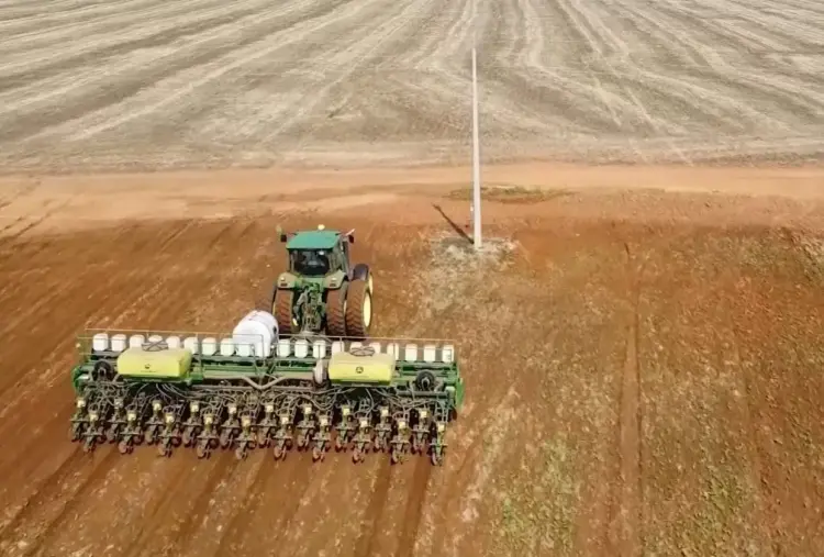 Plantio de soja avança e já cobre 57,68% da área nacional, segundo consultoria