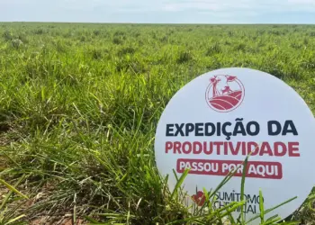 Sumitomo Chemical realiza 3ª edição da Expedição da Produtividade e impacta 2 mil pecuaristas no Brasil