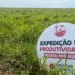 Sumitomo Chemical realiza 3ª edição da Expedição da Produtividade e impacta 2 mil pecuaristas no Brasil