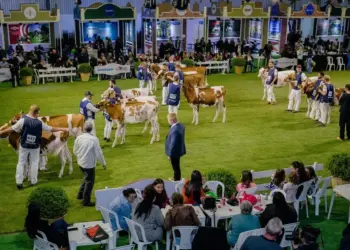 ExpoFrísia tem nova data a partir de 2026